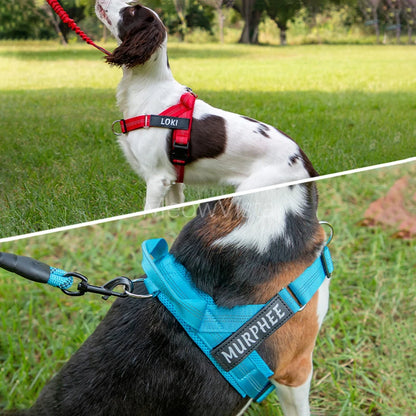 WagWalk